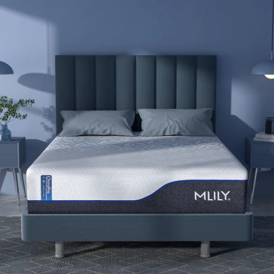 ChiroPro Firmer 1.0 Mattress
