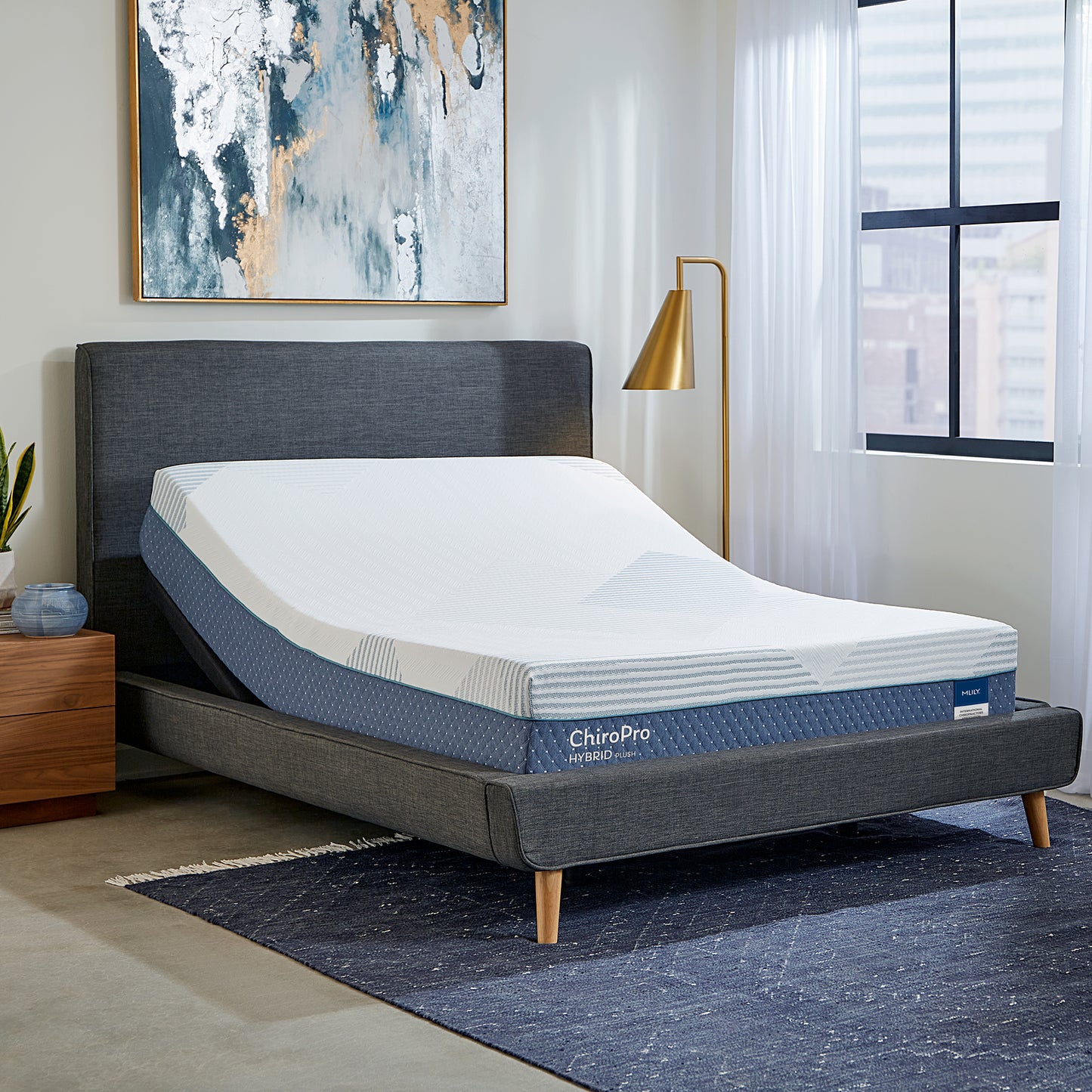 ChiroPro Plush Hybrid Mattress