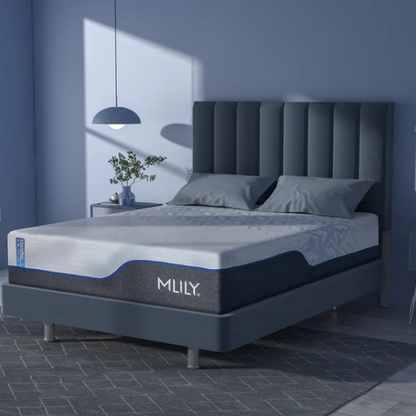 ChiroPro Plusher 3.0 Mattress