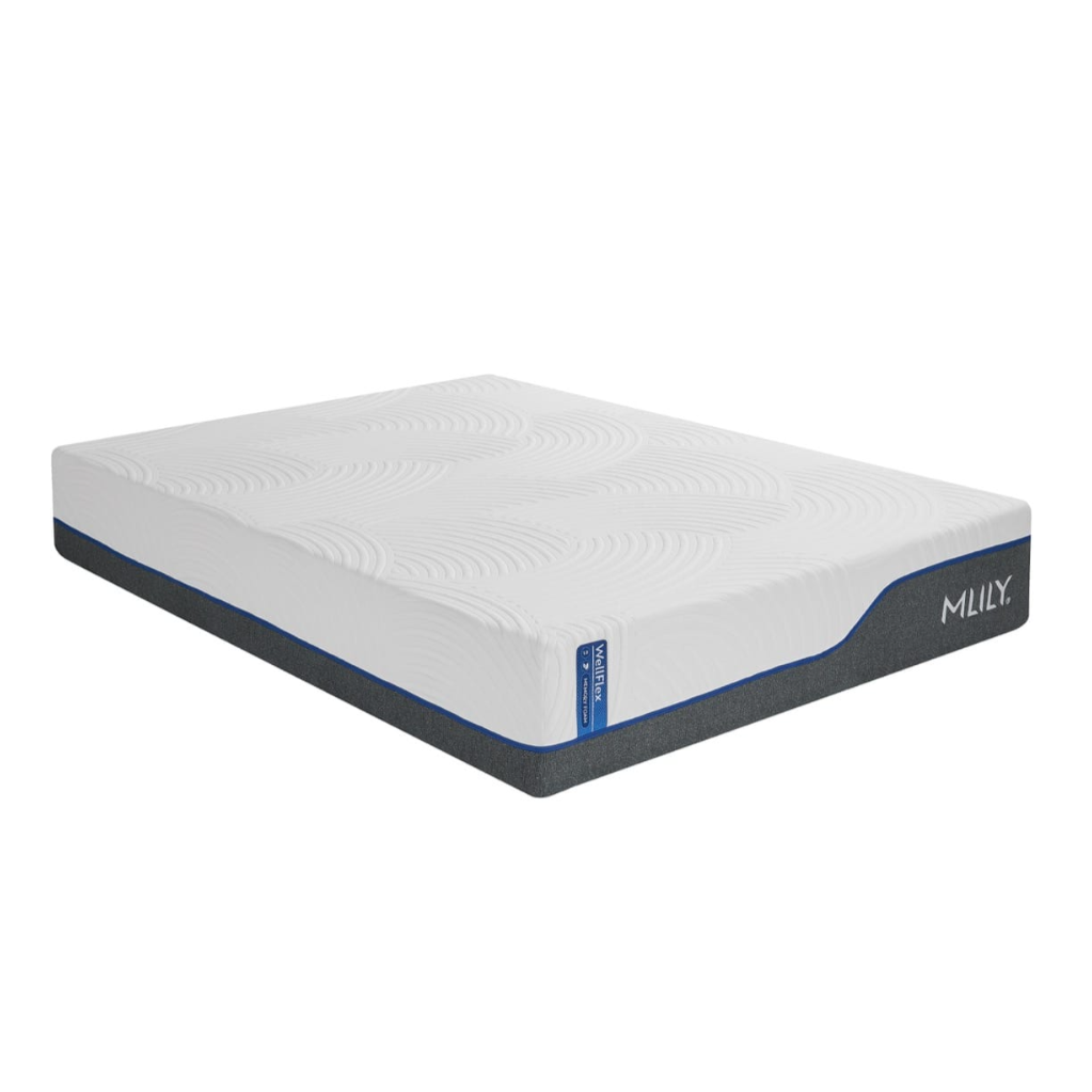 WellFlex 3.0 ICE Plusher Mattress