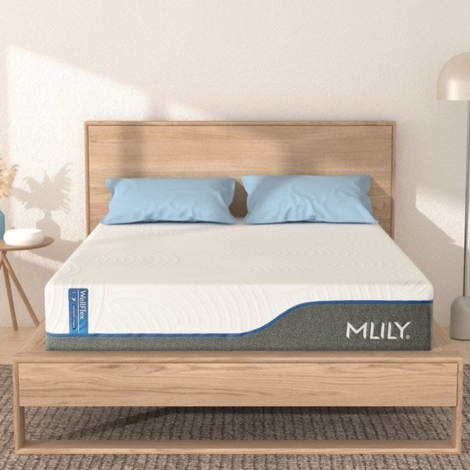 WellFlex 3.0 ICE Plusher Mattress